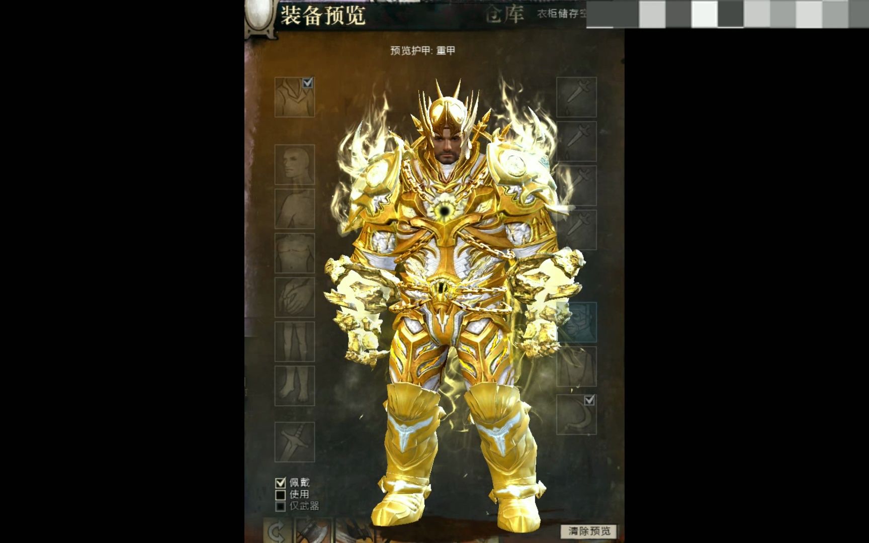 激战2 重甲幻化《圣骑士》