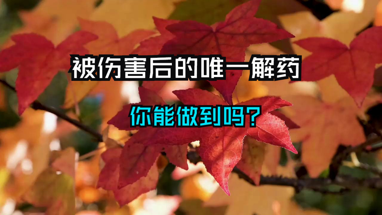 [图]被别人伤害后，绝情，才是你唯一的解药❗