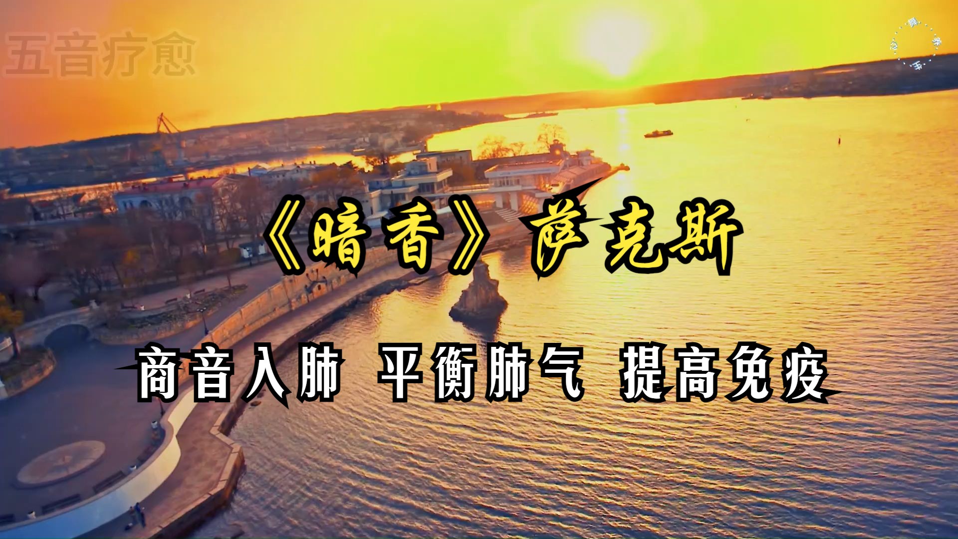 五音疗愈 商音入肺 聚气藏能 宁心净脑 平衡肺气 提高免疫 增强呼吸系统功能 头晕脑胀/憋闷烦乱/心神不宁/用脑过度可多听《暗香》 萨克斯 音药养生 放松减压...