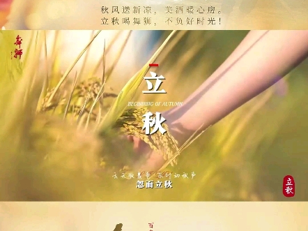 存一整夏的好时光,酿惊艳世人的酒香.立秋喝舞狮,把酒话丰收#贵州舞狮酒#赖系传承#地道酱香哔哩哔哩bilibili