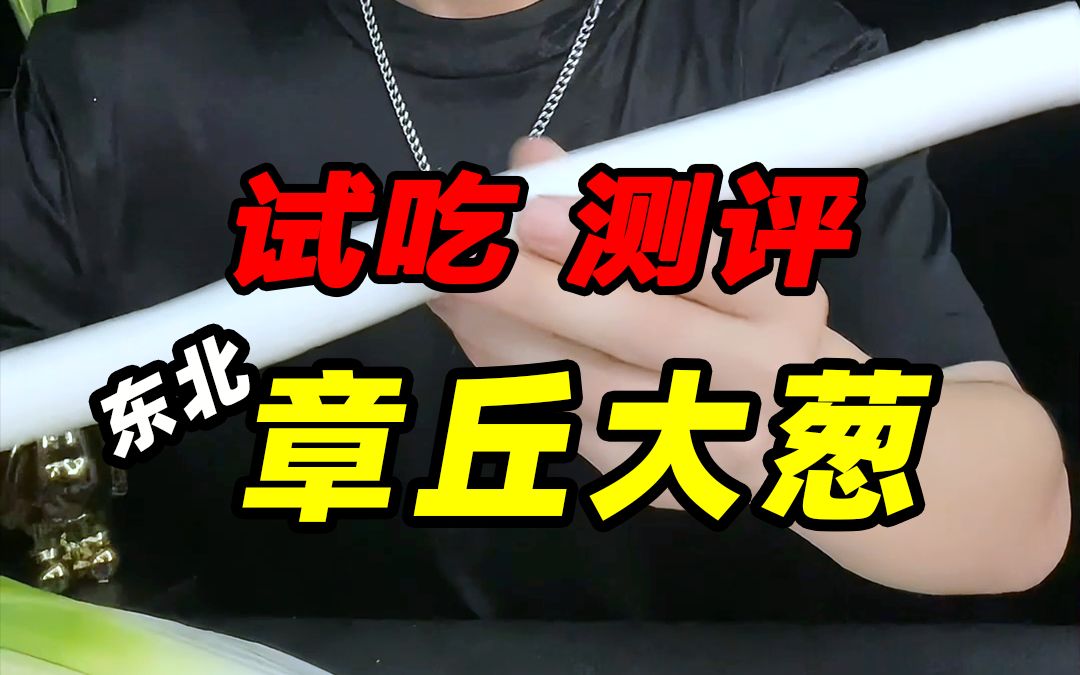 这样的东北章丘大葱真的可以当水果吃吗?哔哩哔哩bilibili