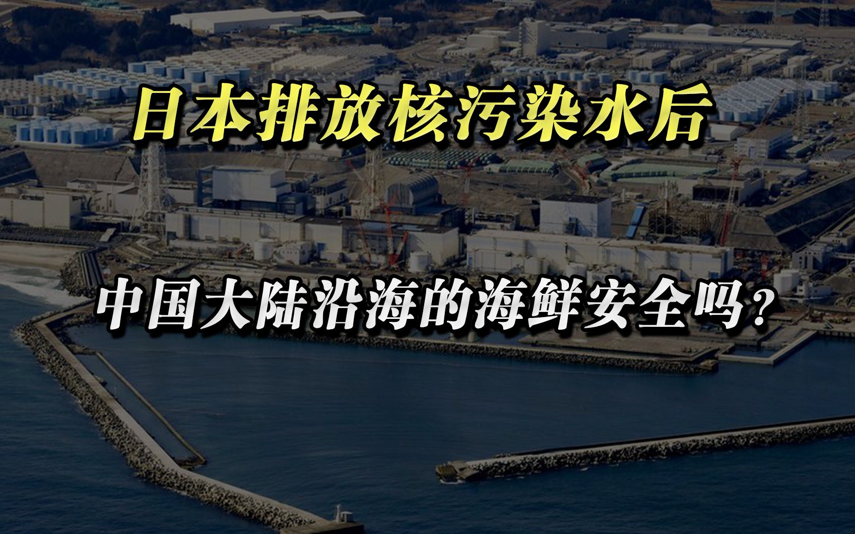 日本排放核污染水后,中国大陆自产的海鲜还安全吗?哔哩哔哩bilibili