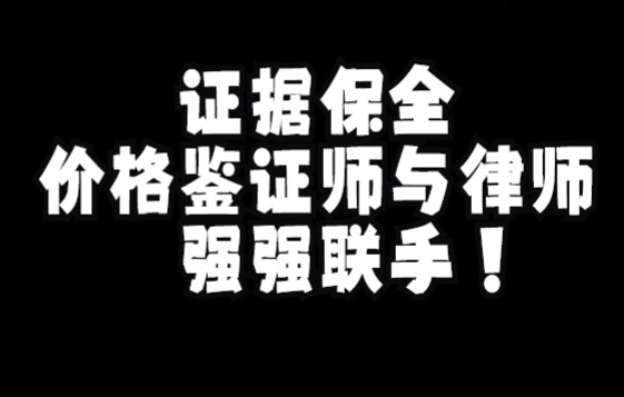 会员案例分享:证据保全,价格鉴证师与律师强强联手——正言评估哔哩哔哩bilibili