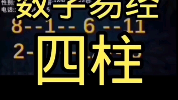 数字易经!四柱!哔哩哔哩bilibili