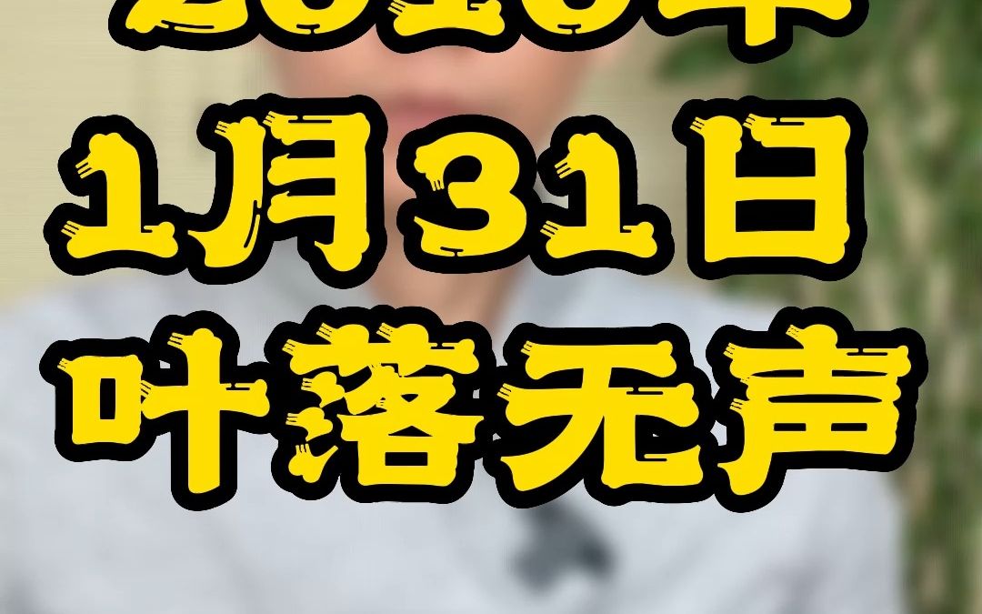 [图]2010年1月31日 叶落无声