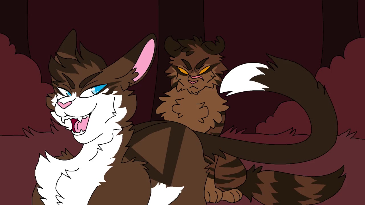 【猫武士】鹰霜-dangerous