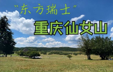 【东方瑞士】重庆仙女山国家森林公园延时摄影哔哩哔哩bilibili