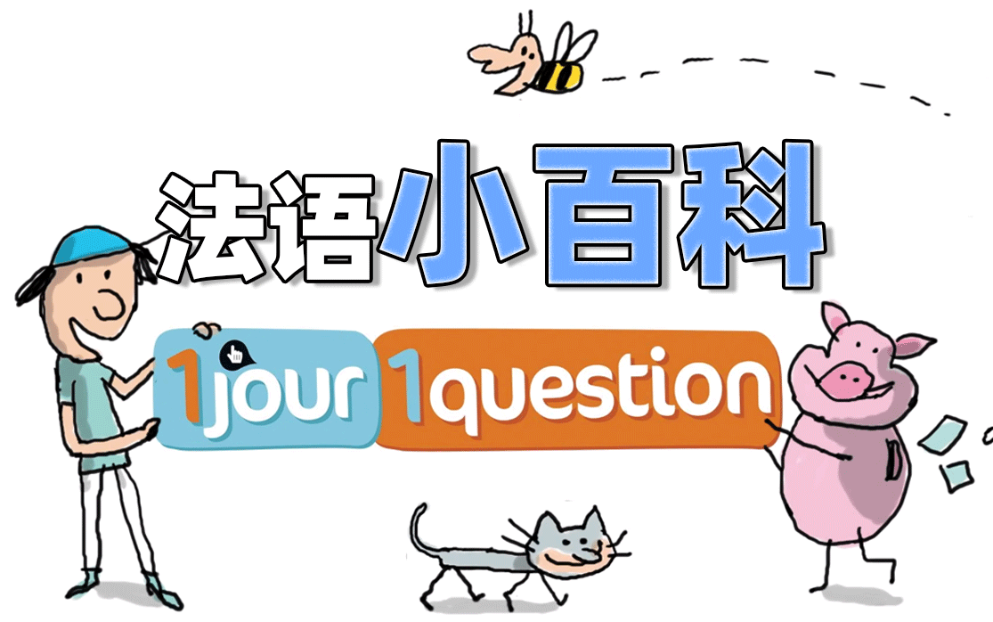 【法语学习 | 中法字幕】100个关于法国的冷知识,你了解多少?哔哩哔哩bilibili