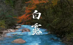 Download Video: 白露｜秋入山林，物情潇洒