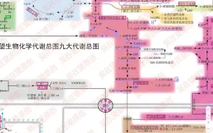 Download Video: 一起来背生物化学代谢部分鸭！