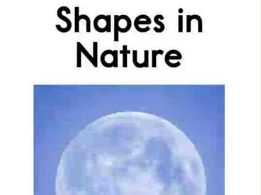 Shapes in Nature RAZA 大自然中的形状 英文分级阅读哔哩哔哩bilibili