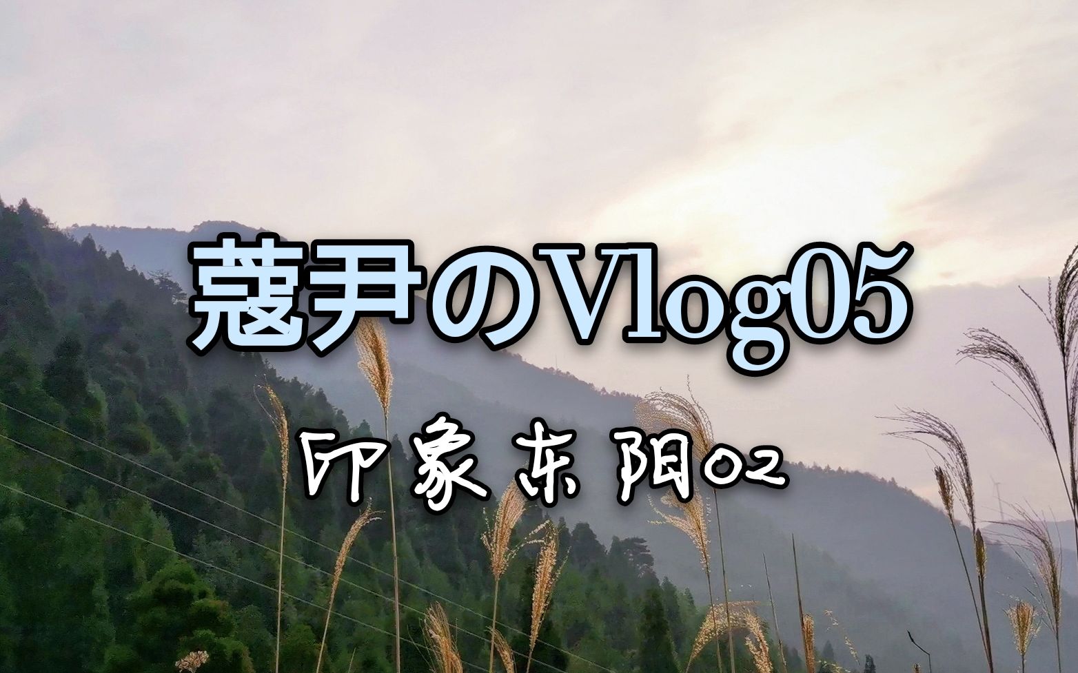 【蔻尹】Vlog05♡印象东阳♡那人那山那些小动物们览悬崖村之大观哔哩哔哩bilibili