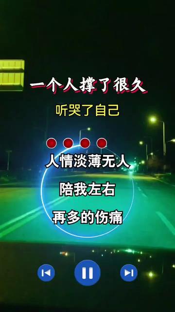 伤感音乐 #一个人撑了很久#谁能懂 #心中的苦谁能懂