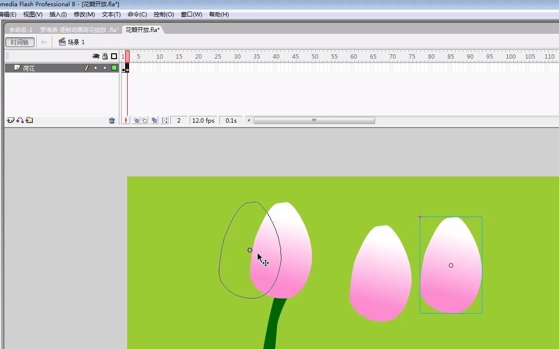 精品微课:Flash逐帧动画——花瓣开放哔哩哔哩bilibili