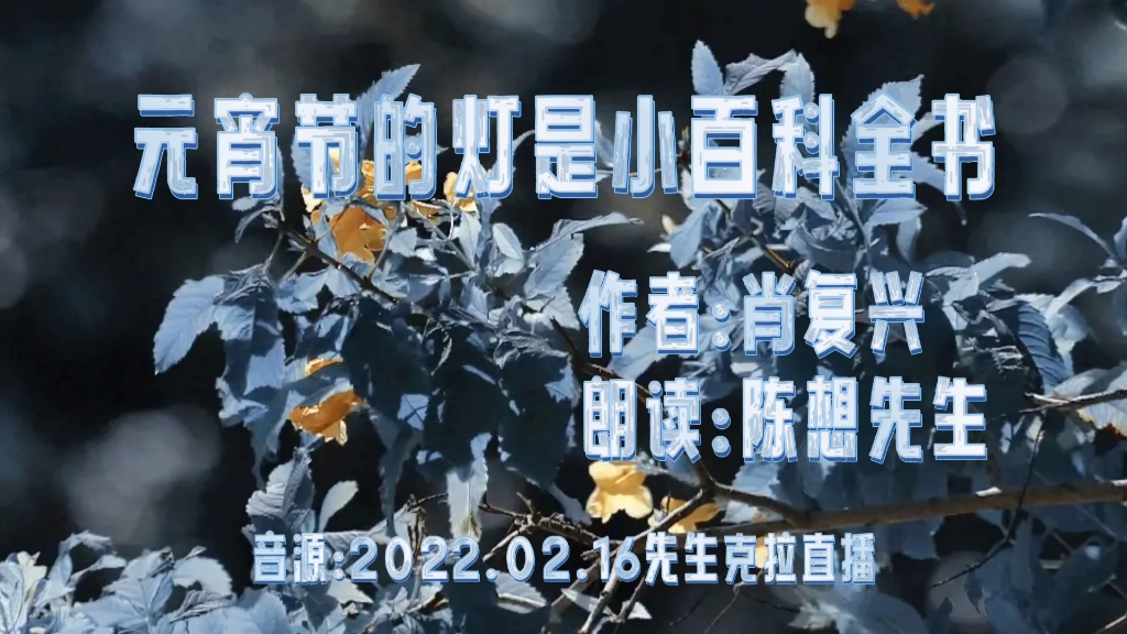 陈想先生——《元宵节的灯是小百科全书》