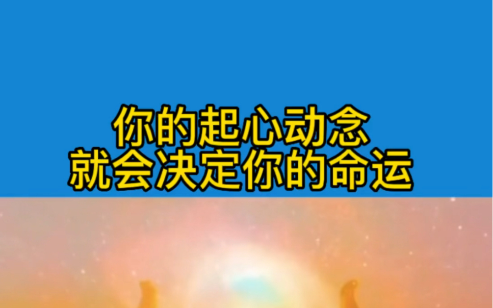 你的起心动念,就会决定你的命运!
