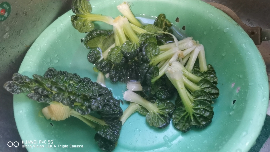 蒜炒苔菇菜体验卡