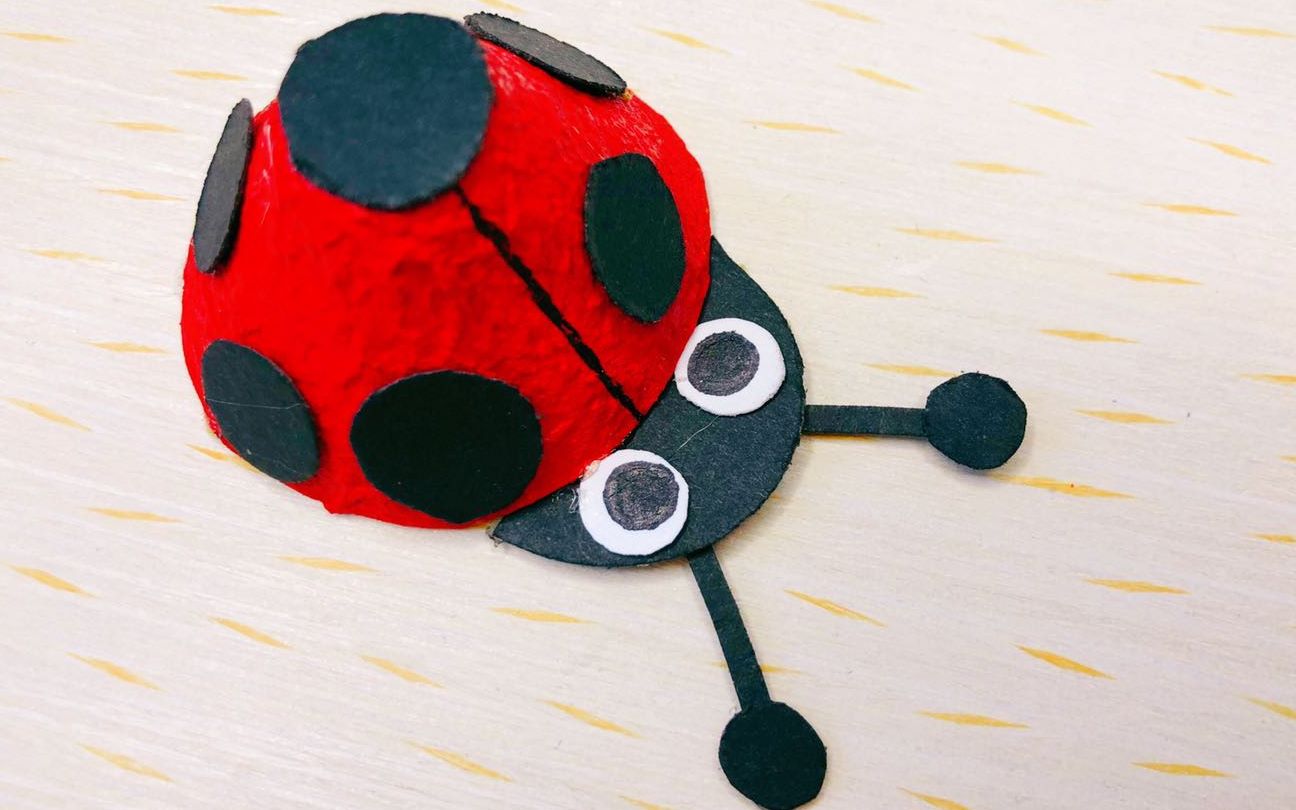 李卉老师带你做手工蛋托瓢虫