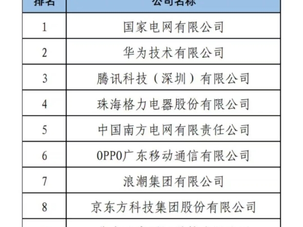 2024企业专利排名,小米OPPO华为上榜.哔哩哔哩bilibili