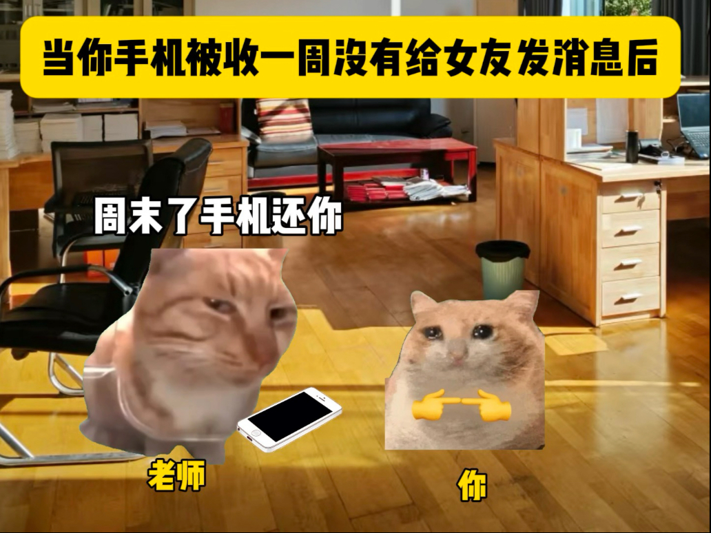当你手机被收一周没有给女友发消息-猫meme小剧场江笑笑-猫meme小剧场江笑笑-哔哩哔哩视频