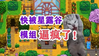 Video herunterladen: 【猫meme】星露谷安装模组现状