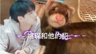 〖姚琛〗他来了，姚小琛带着他的貂来了，哈库呐好可爱