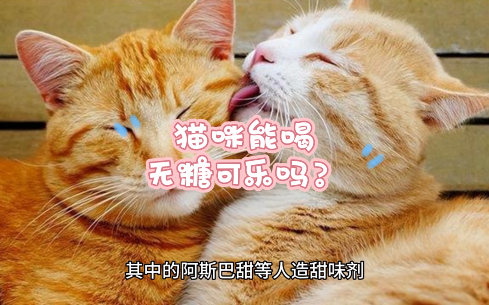 [图]猫咪能喝无糖可乐吗