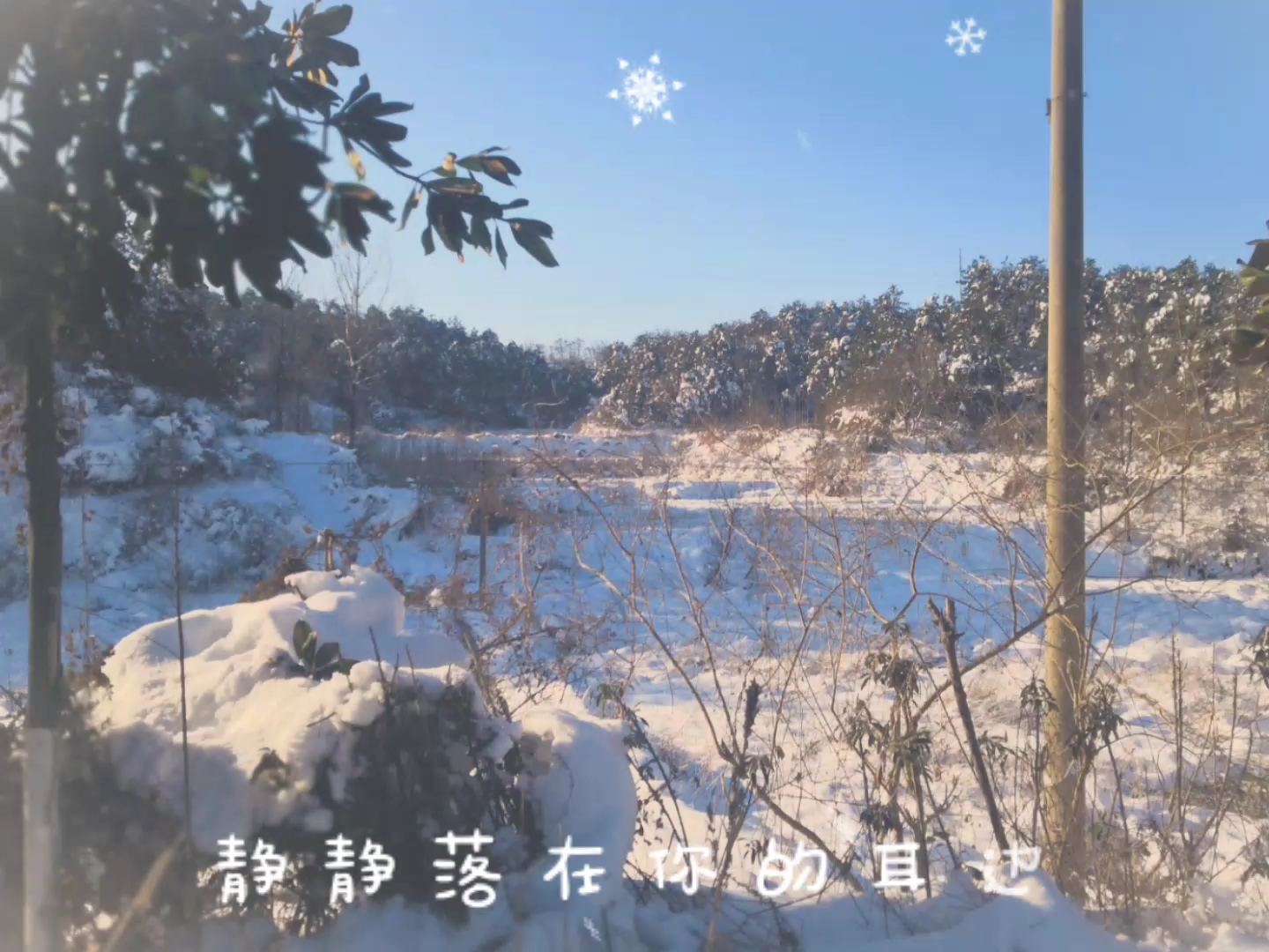 [图]放肆飞扬的雪花