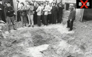 开封特大轮奸杀人案