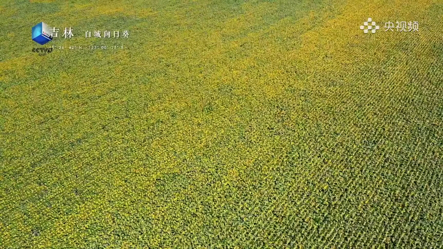 [图]【终极预告】解锁吉林天际美景，《航拍中国》第三季《一同飞越》（2020年5月27日首播）