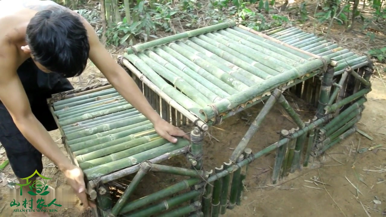 農村牛人在野外用竹子建造了一套小房子用來養殖家禽這做法太有創意了