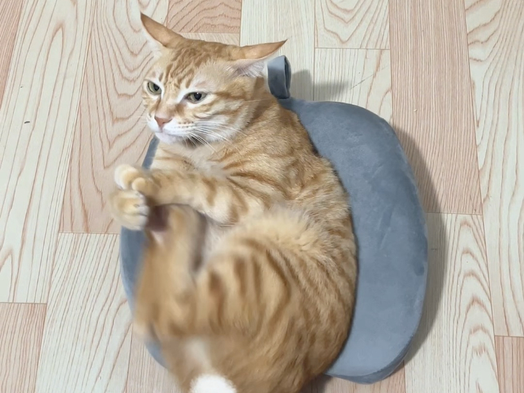 包被底层代码这一块