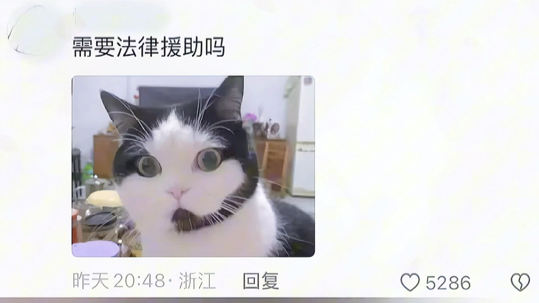 好可爱的突突突小猫,咱们可是有坚强后盾的!哔哩哔哩bilibili