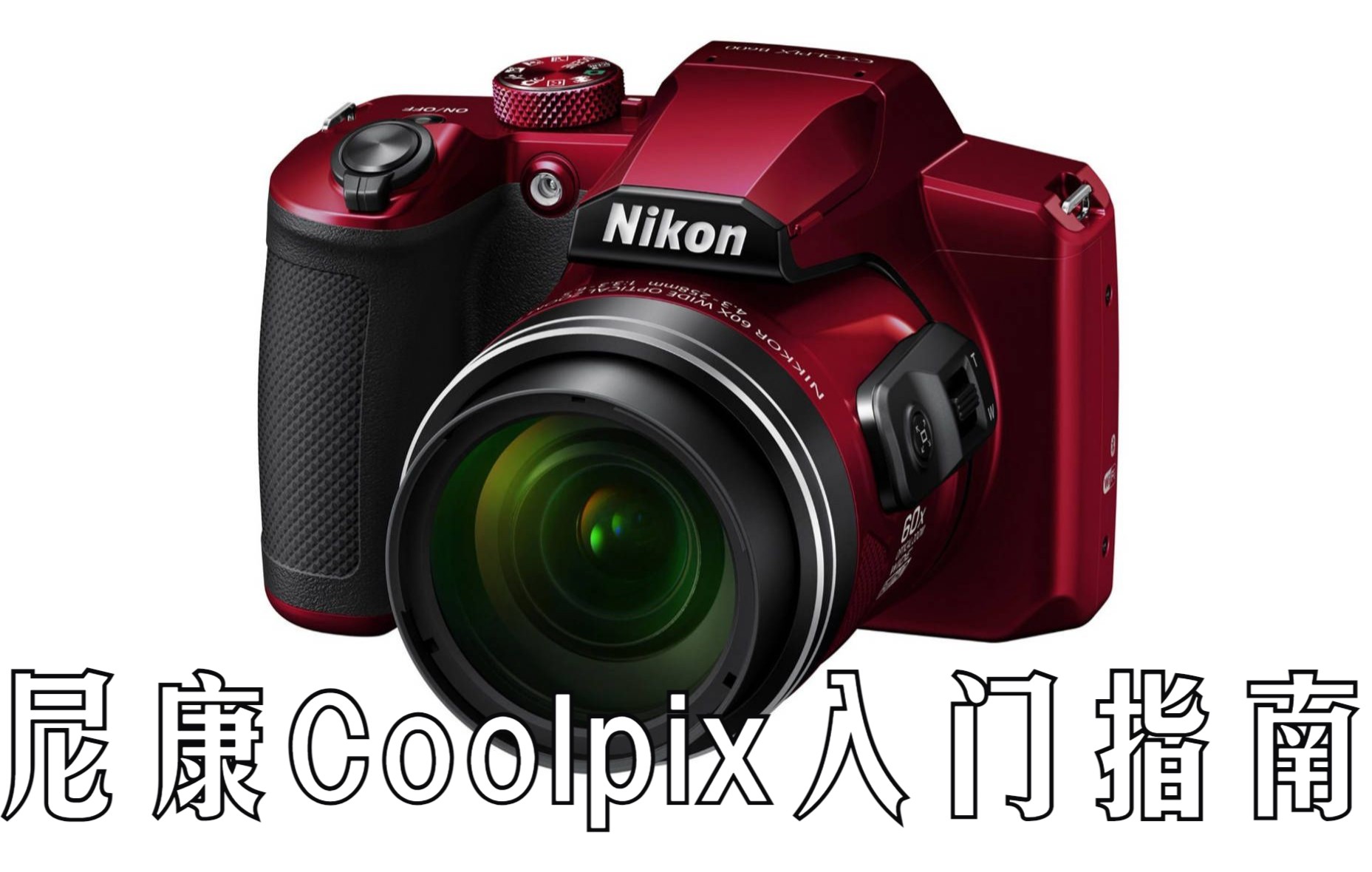 【入门指南】尼康Coolpix快速入门指南(Nikon Coolpix)哔哩哔哩bilibili