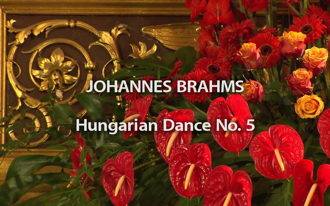 [图]Johannes Brahms - Hungarian Dance No.5 - Hungarian Symphony Orchestra Budapest