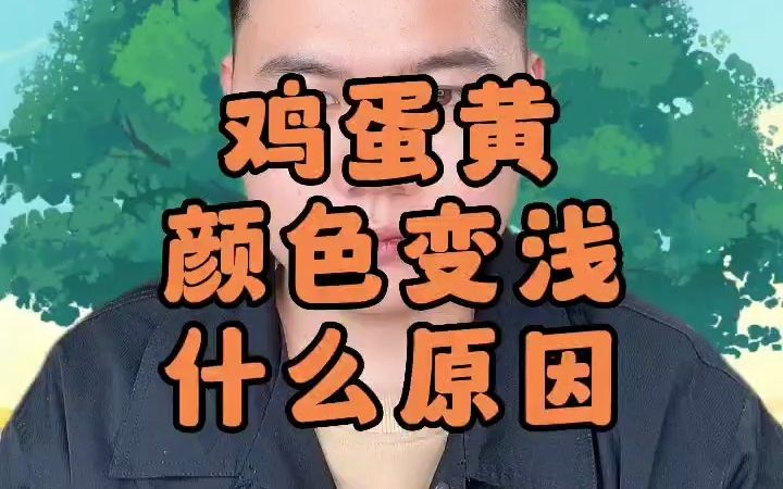 鸡蛋颜色浅是什么原因 鸡蛋黄发白不黄是什么原因 鸡蛋蛋黄颜色很浅是什么原因 鸡蛋黄淡黄是怎么回事哔哩哔哩bilibili