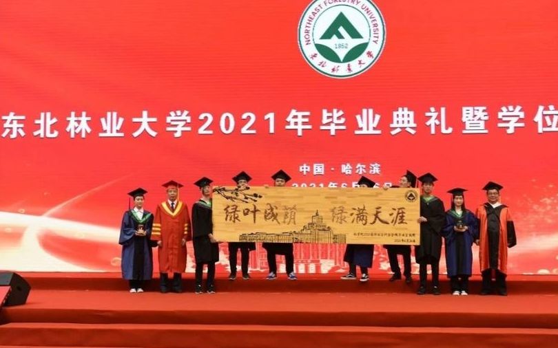 [图]我和我的大学 | 东北林业大学，夏天的相遇，在夏天告别。渡口旁找不到一朵可以相送的花，就把祝福别在襟上吧！再见！