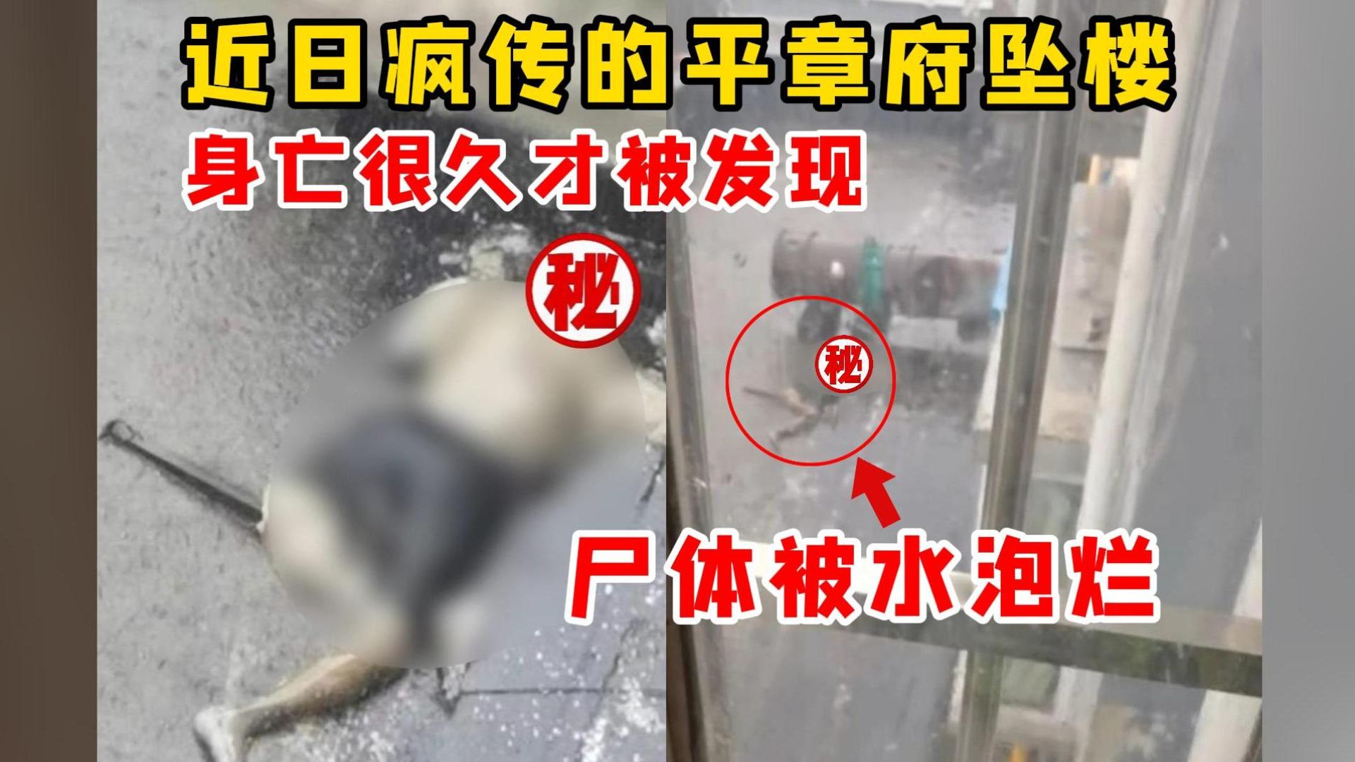 慎入!坠入积水露台,尸体数天后才发现都腐烂了
