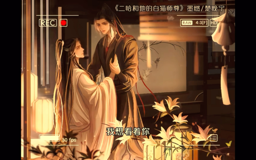 【二哈和他的白猫师尊】这时候的墨燃对晚宁也是小心翼翼的吧哔哩哔哩bilibili