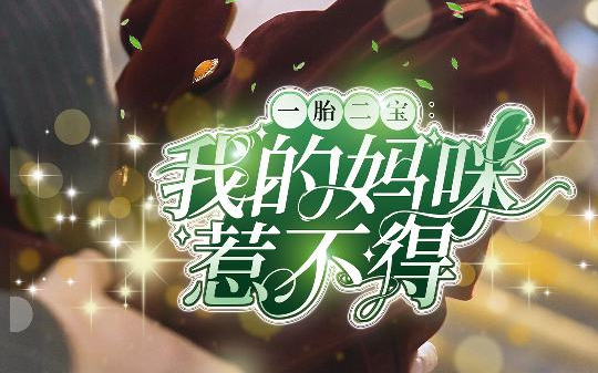 一胎二宝:我的妈咪惹不得seg6哔哩哔哩bilibili