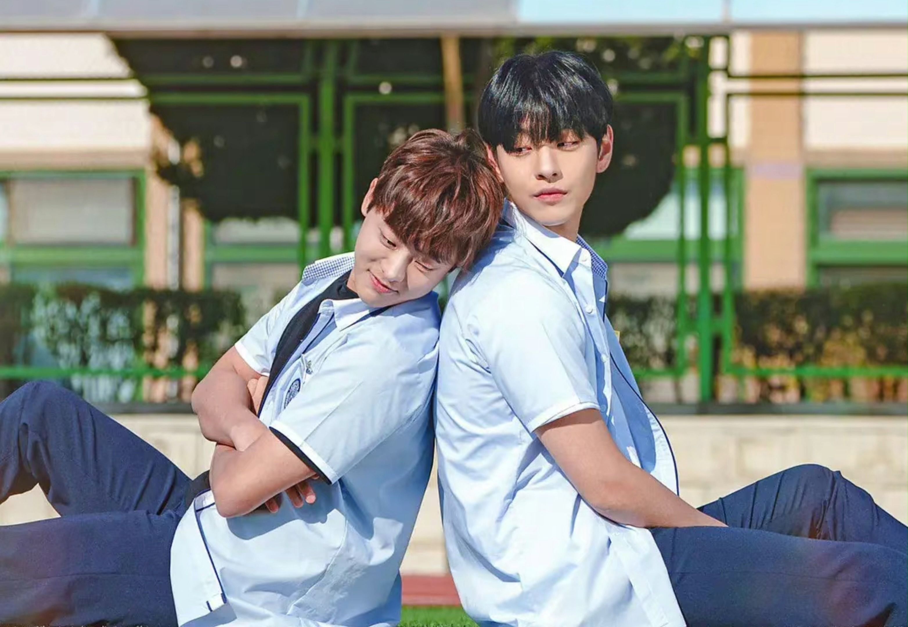 韩剧【恋爱至上主义区域】合集完结