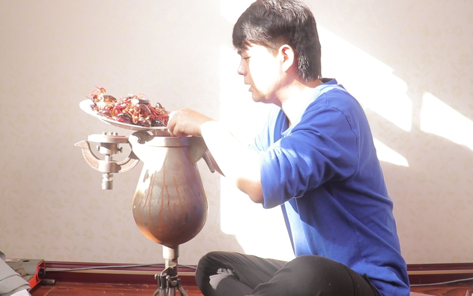 bobobollll 的个人主页