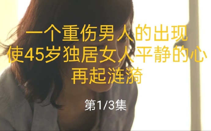 [图]【天天爱观影】《回光奏鸣曲》一个重伤男人的出现，使45岁独居女人平静的心，再起涟漪。