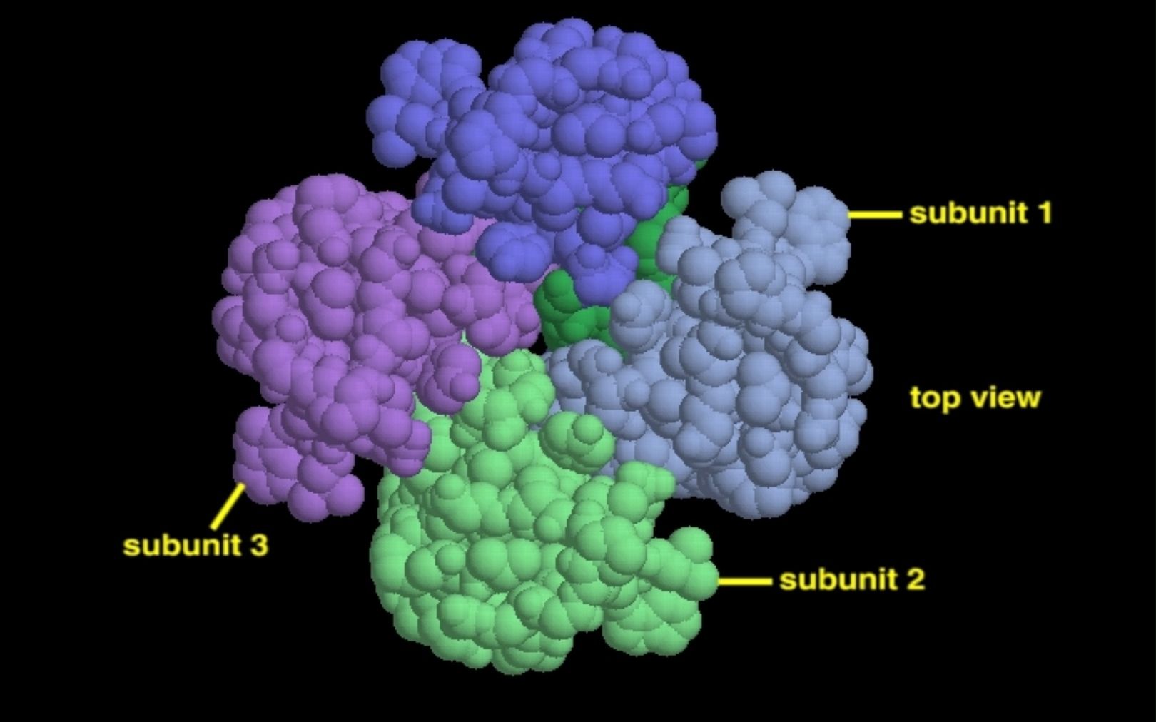 钙泵的转运过程-细胞生物学动画【中英字幕】