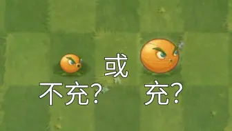 关于我这边的斗蛐蛐规则……