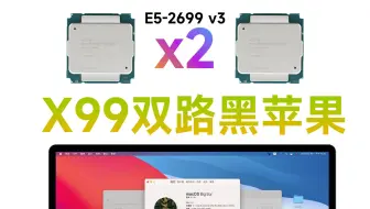 【老吴黑苹果】X99 双路主机黑苹果 / E5-2699 v3 / 华硕Z10PE-D8 WS / Quadro K6000 / BigSur 11