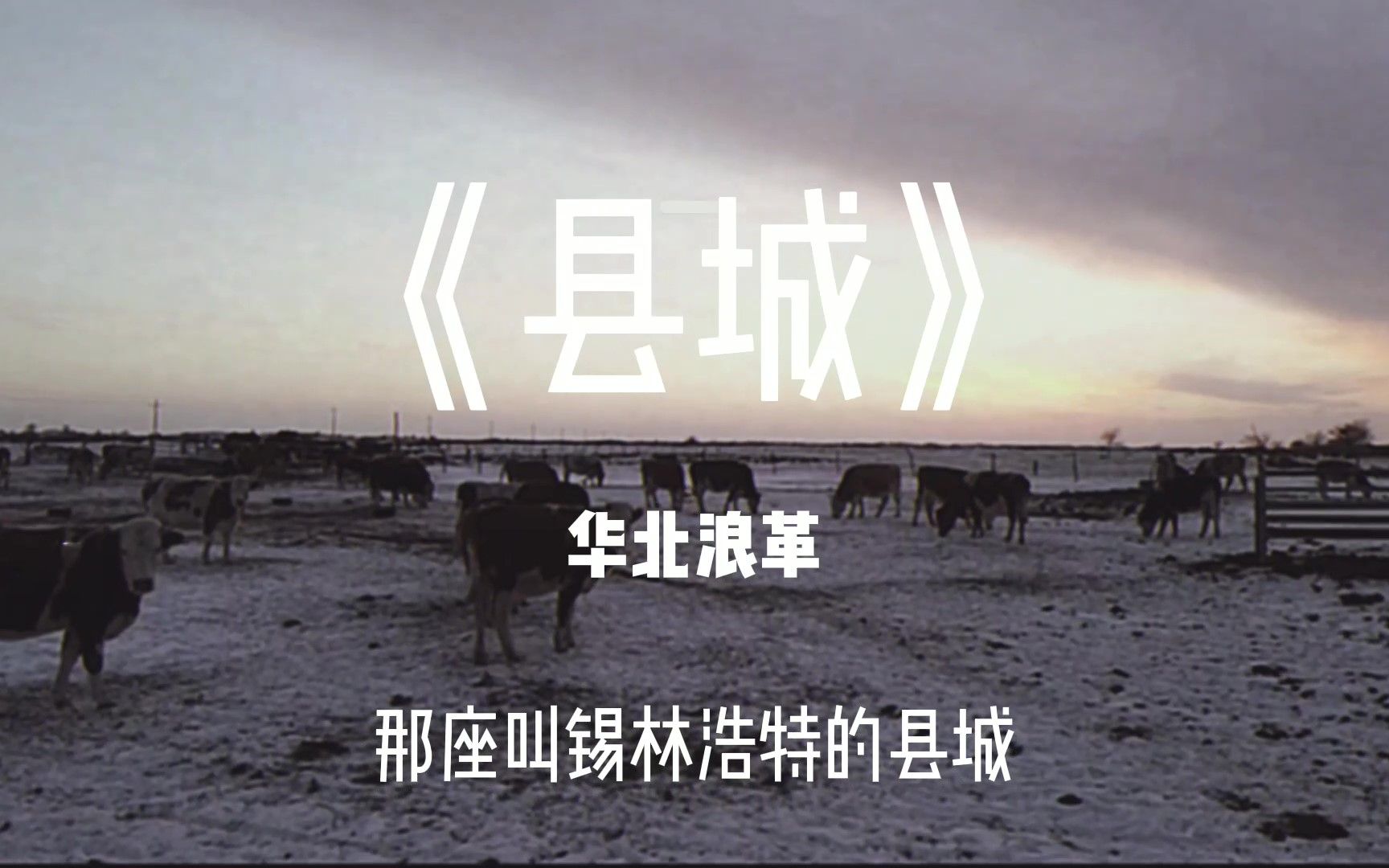 县城华北浪革