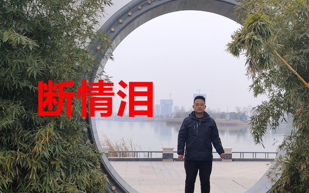 经典音乐,一首《断情泪》悠扬的曲调,歌声豪迈大气