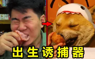 Download Video: 这些B站百万up主带货的网红零食，简直太抽象了吧！