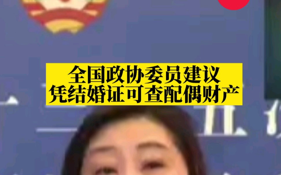 离婚时共有财产难分配?全国政协委员建议凭结婚证可查询配偶财产哔哩哔哩bilibili